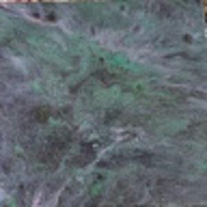 Meet your Posher, Tracie